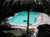PISCINE AQUA CONVEX piscine haricot turquoise echelle.jpg